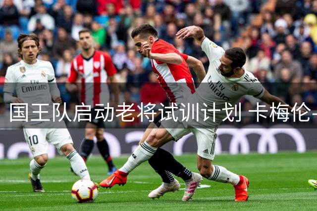 国王队启动老将试训计划 卡梅伦-佩恩成首位受邀球员